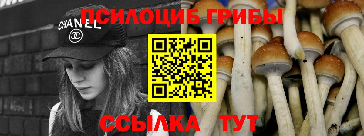 Псилоцибиновые грибы Psilocybine cubensis  Галлюциногенные грибы GOLDEN TEACHER  Железноводск  Вход с VPN 